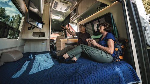 Biggest Bed Among Its Peers