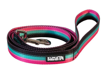 Backtrack Dog Leash