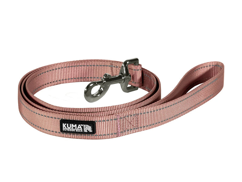 Lazy Bear Dog Leash