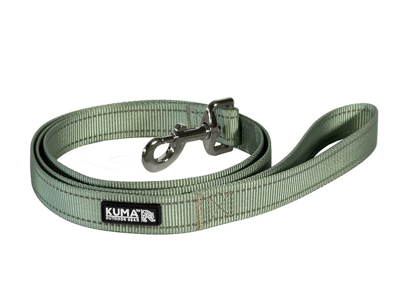 Lazy Bear Dog Leash