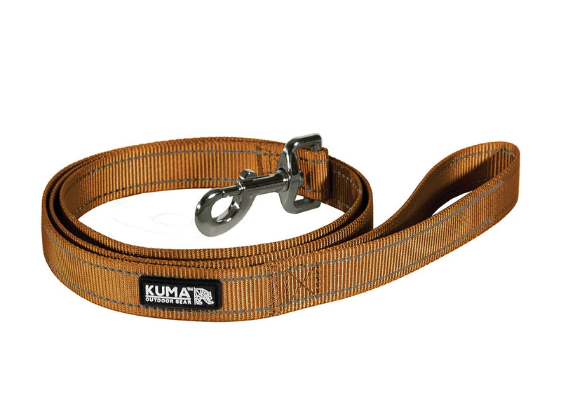 Lazy Bear Dog Leash