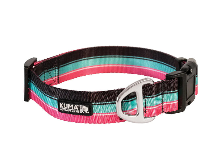 Backtrack Dog Collar Black Pink Teal 867-KM-BTCL