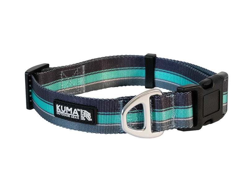 Backtrack Dog Collar