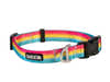 Backtrack Dog Collar Yellow Pink Teal 867-KM-BTCL