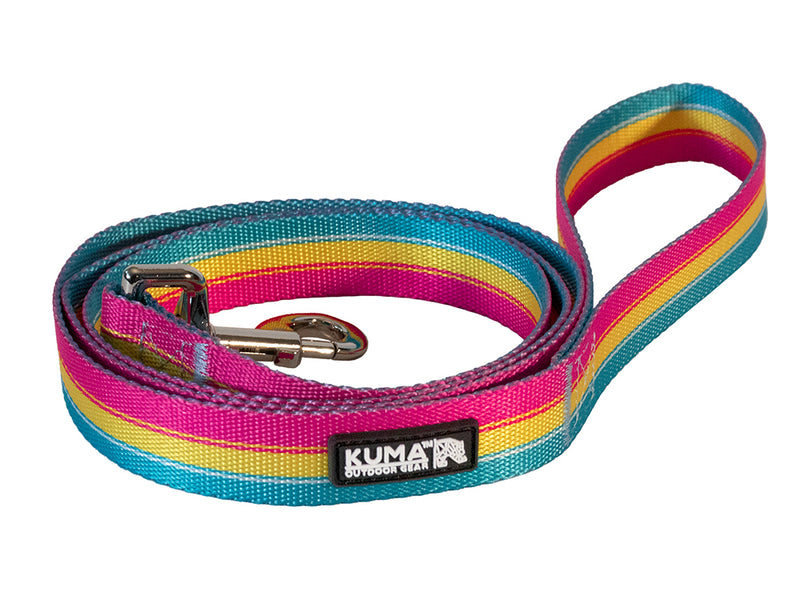 Backtrack Dog Leash