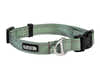 Lazy Bear Dog Collar - Sage 703-KM-LBCL