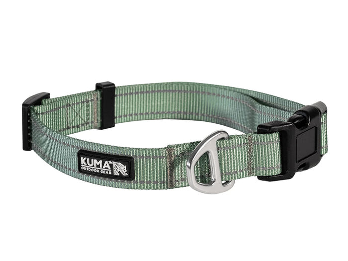 Lazy Bear Dog Collar - Sage 703-KM-LBCL