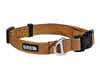 Lazy Bear Dog Collar - Sierra 703-KM-LBCL