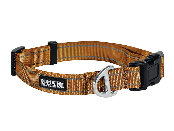 Lazy Bear Dog Collar - Sierra 703-KM-LBCL